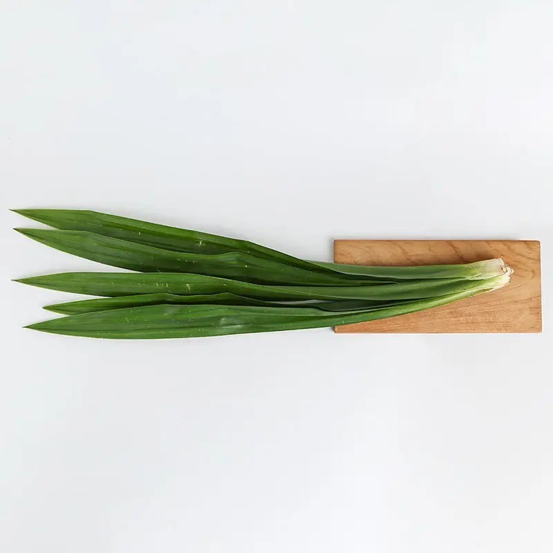 

Daun Pandan 50 Gram