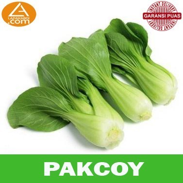 

Pakcoy 250gr Sayur Segar Garansi Termurah