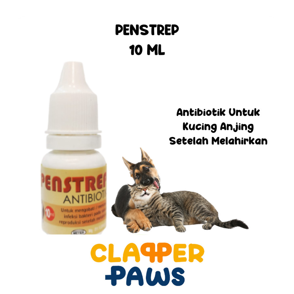PENSTREP ANTIBIOTIK UNTUK KUCING ANJING SETELAH MELAHIRKAN BTM