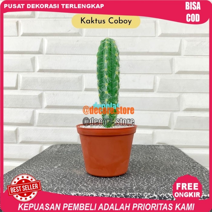 Cod Tanaman Hias Daun Kaktus Latex Artificial Coboy Centong Elongata Fero - Kaktus Coboy
