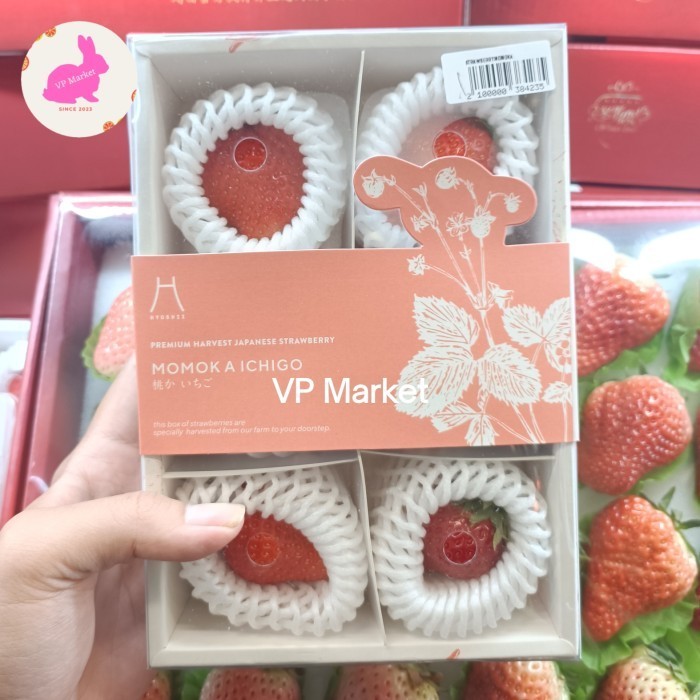 

Strawberry Sakura Jepang Premium | Strawberry Momoka Ichigo | Pack