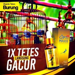 ptimaxx - Optimax vitamin Penggacor Gacor Burung Kicau Lovebird Murai Murai Batu Atp Masteran Doping