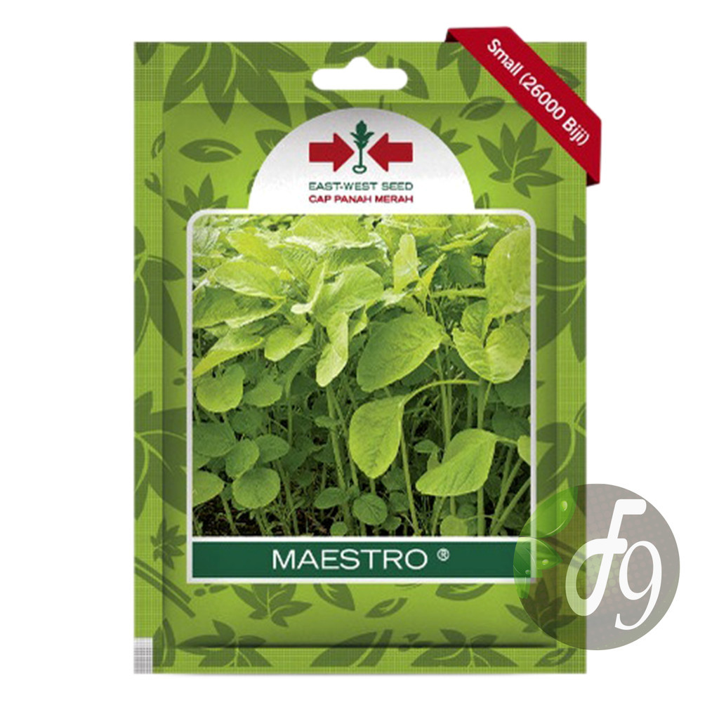 Benih bibit bayam hijau maestro 26000 butir cap panah merah biji bayem ijo cabut potong petik