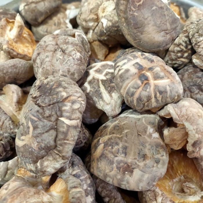 

jamur shitake kering 100 gram