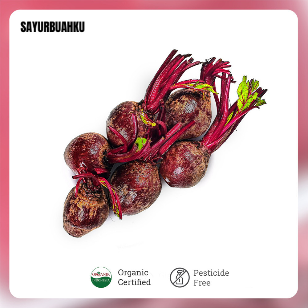 

Beet Organik 1 kg HUTANG BELUM BAYAR DITUNGGU PELUNASANNYA BALAS CH4T SOPI
