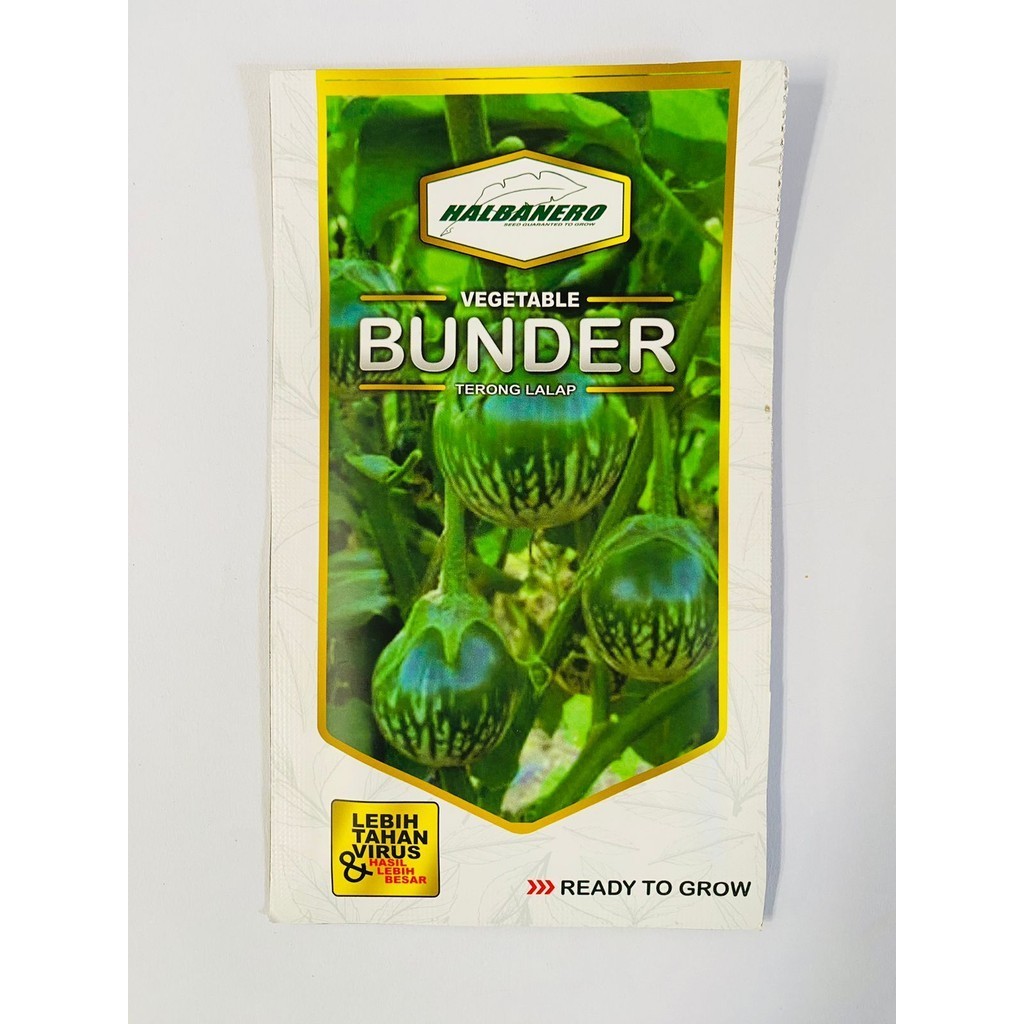 Benih terong lalap BUNDER isi 10gr dari HALBANERO