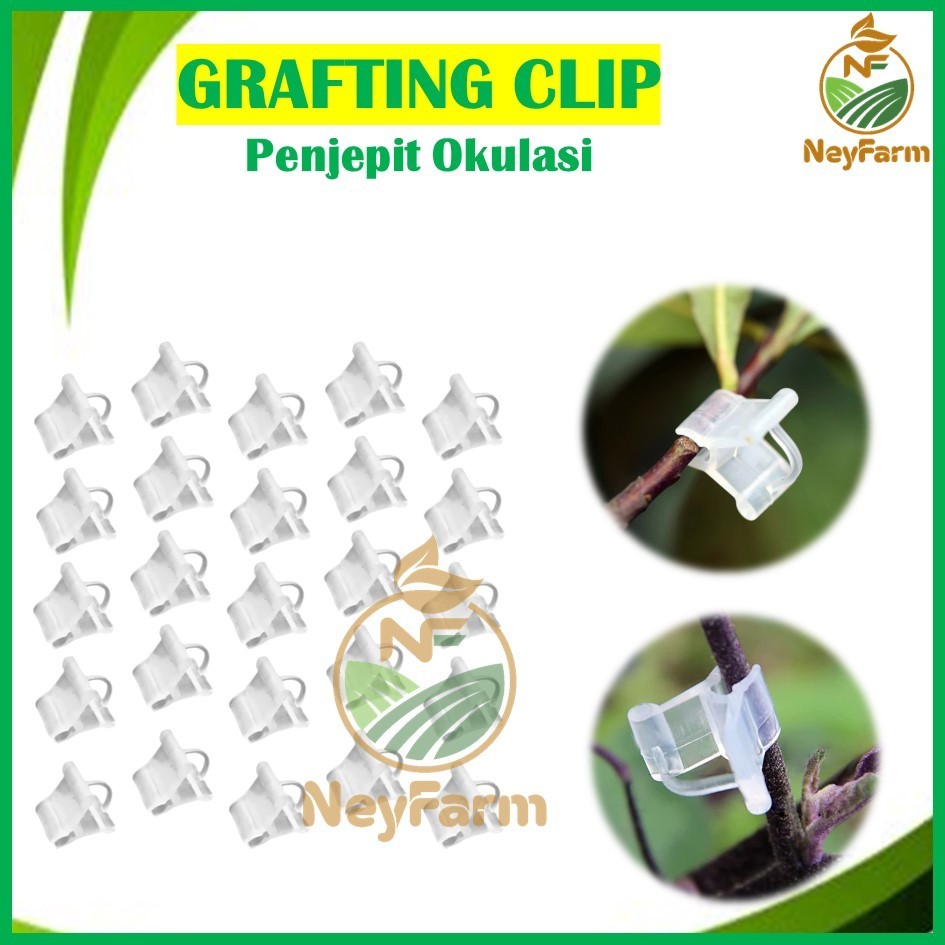 Grafting Clip Penjepit Okulasi Sambung Pucuk Tanaman