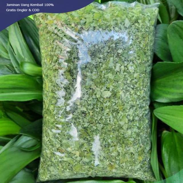 

Daun Kelor Kering 500 Gram Murni Bersih Hijau