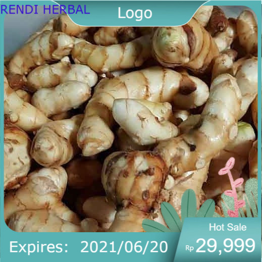 

terlaris kunyit putih segar fresh 1kg