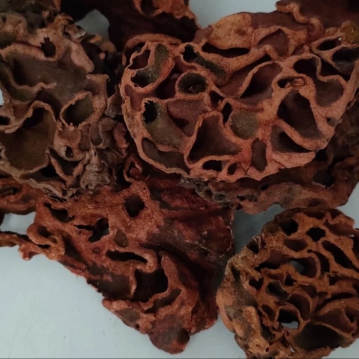 

Belanja disini sarang semut merah asli Papua - sarang semut /500g