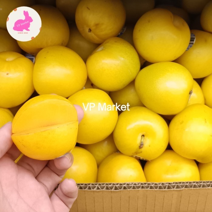 Buah Plum Green Midas Fresh | Buah Plum Super 1kg