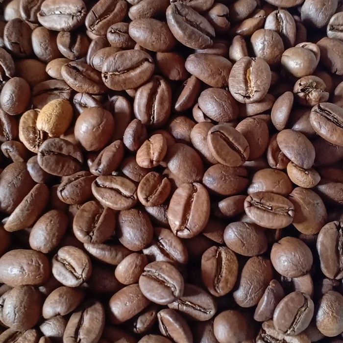 

[Coffee New] Kopi Jamaica Blue Mountain Arabika 100 Gram Bubuk/Biji - BIJI
