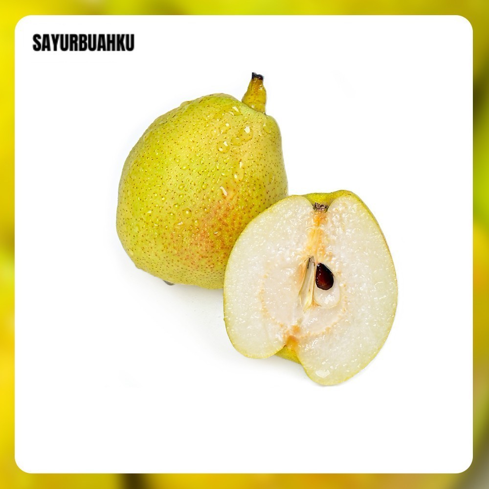 

Pear Xiang Lie 1 Kg HUTANG BELUM BAYAR DITUNGGU PELUNASANNYA BALAS CH4T SOPI