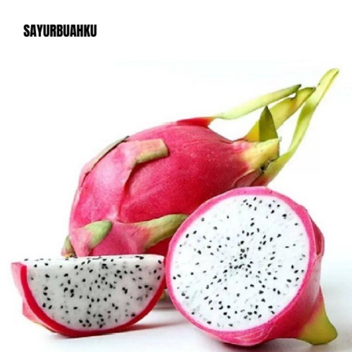 

Buah Naga Putih 0.95 - 1 Kg HUTANG BELUM BAYAR DITUNGGU PELUNASANNYA BALAS CH4T SOPI