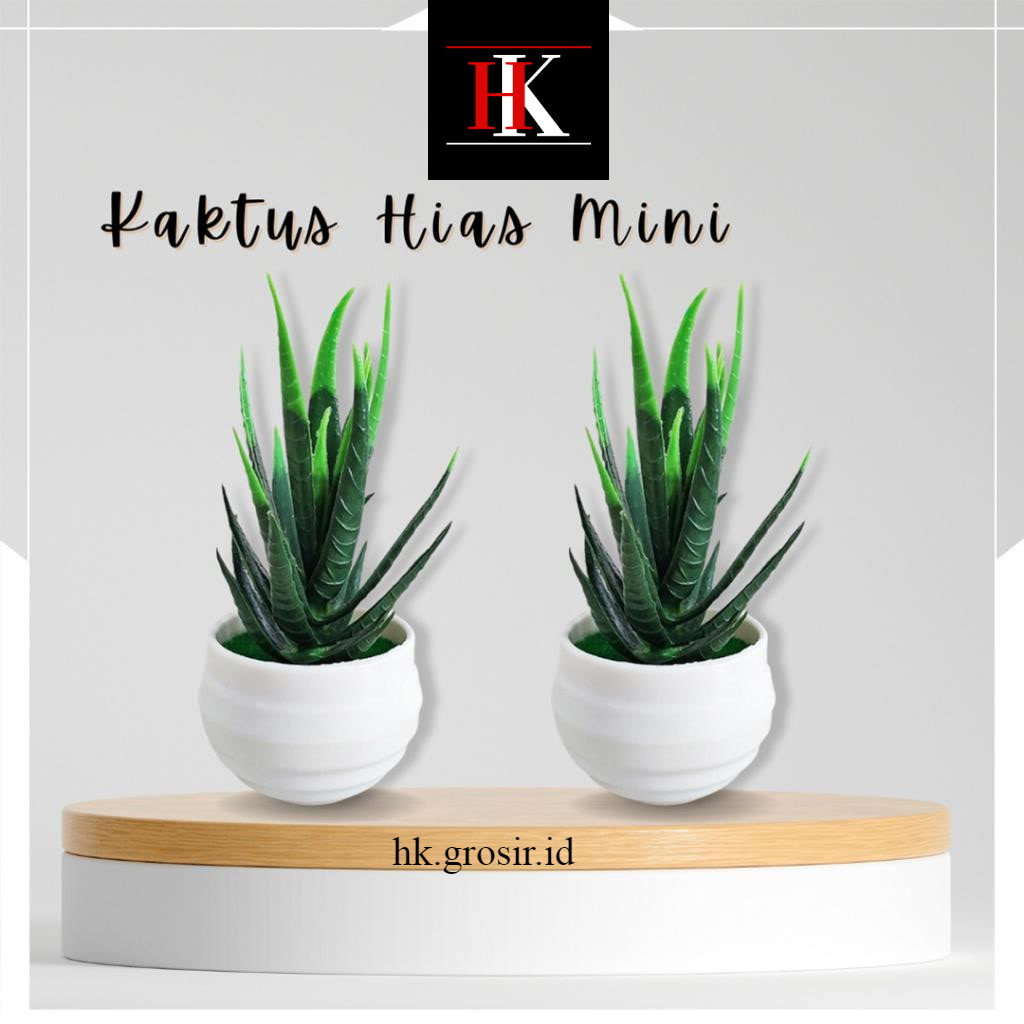 Bunga Kaktus Plastik Kaktus Hias Mini