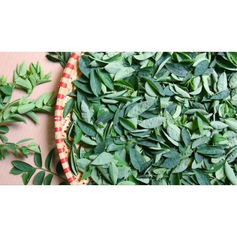 

Daun Katuk 200gr ikat