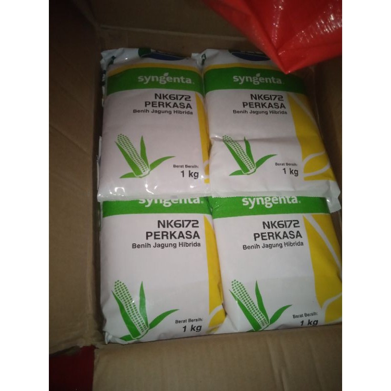 vd42wh BENIH JAGUNG PERKASA/BIBIT JAGUNG PERKASA/BENIH JAGUNG NK 6172 PERKASA 1KG