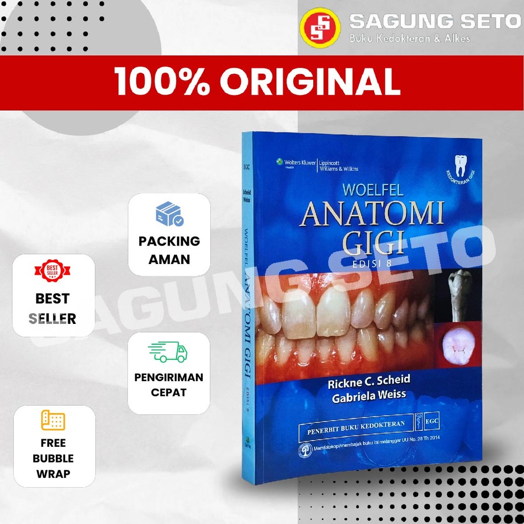 WOELFEL ANATOMI GIGI ED8