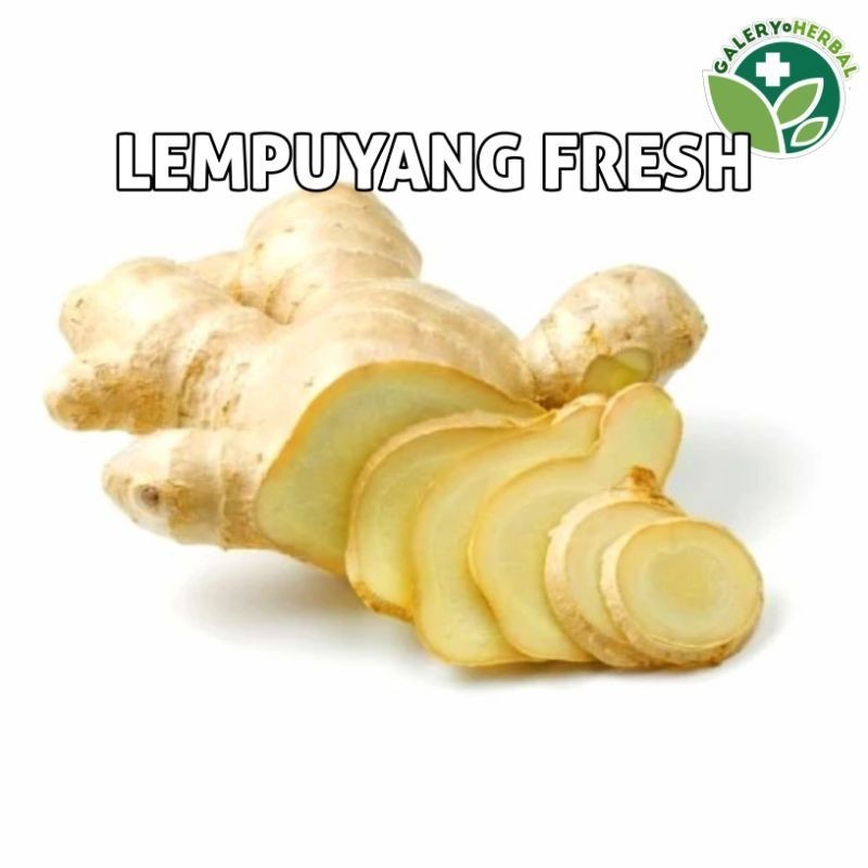 

Lempuyang Fresh Segar 1kg Lempuyang Lampuyang Obat Herbal