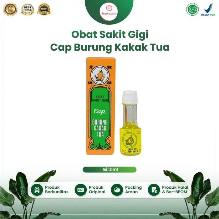 obat sakit gigi tradisional cap burung kakak tua ampuh menghilangkan 
 sakit gigi berlubang yang ngi