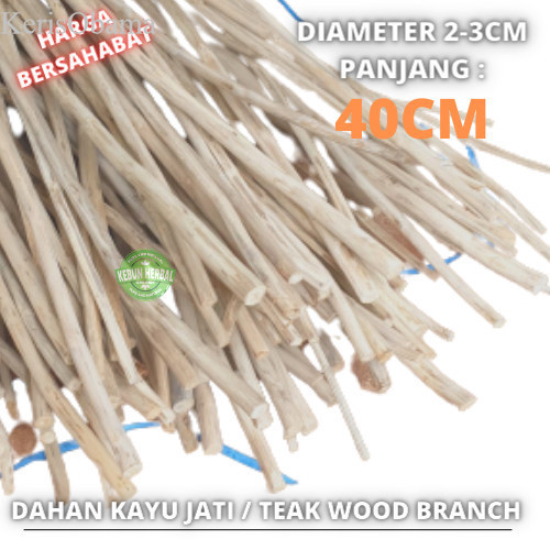 

[ Promo ] Teak wood branch 40 cm macrame dahan ranting kayu jati murah