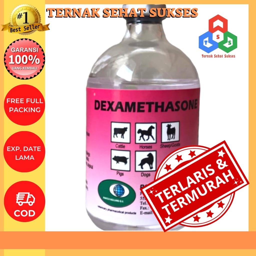 Dexamethasone (Pantex Holland) TSS1