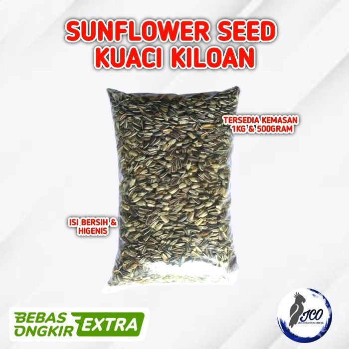 KUACI 1KG SUNFLOWER SEED PAKAN MAKANAN BURUNG KUACI PARROT KUACI BERSIH