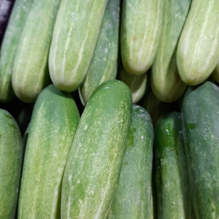 

Mentimun/Timun/Lalapan timun [ORDER 1-kg]