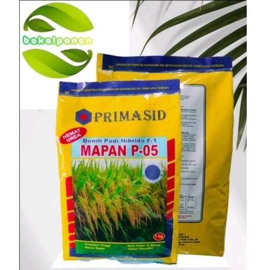 Benih bibit padi hibrida MAPAN 05 MAPAN P 051kg Exp 10.23