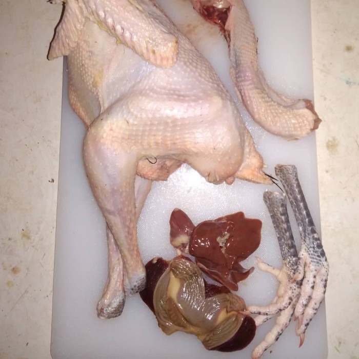 

Ayam Kampung Tua