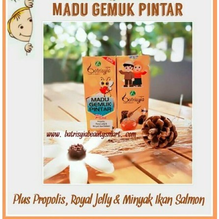 

franklinocollect Madu Gemuk pintar / madu gempi Batrisyia Herbal