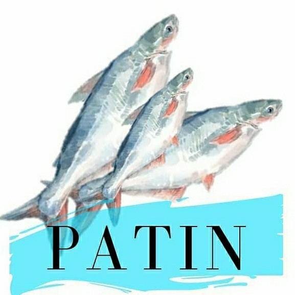 

ikan patin ukuran konsumsi segar (hidup)