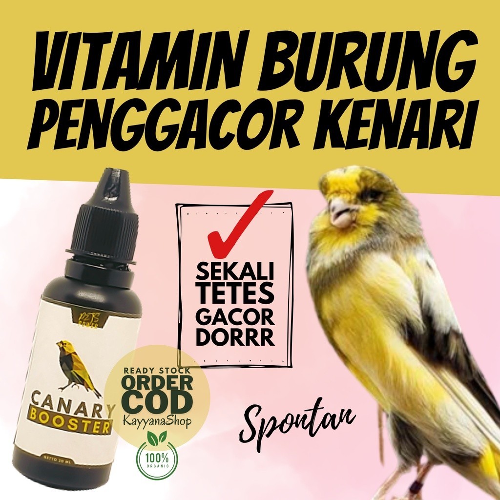 30 ML Vitamin Burung Kenari Gacor - Vitamin Burung Kenari - Vitamin Burung Kenari Cepat Gacor - Vitamin Burung Kenari Biar Gacor - Vitamin Burung Kenari Ternak - Vitamin Kenari Macet Bunyi - Vitamin Kenari Import - Vitamin Kenari Biar Birahi