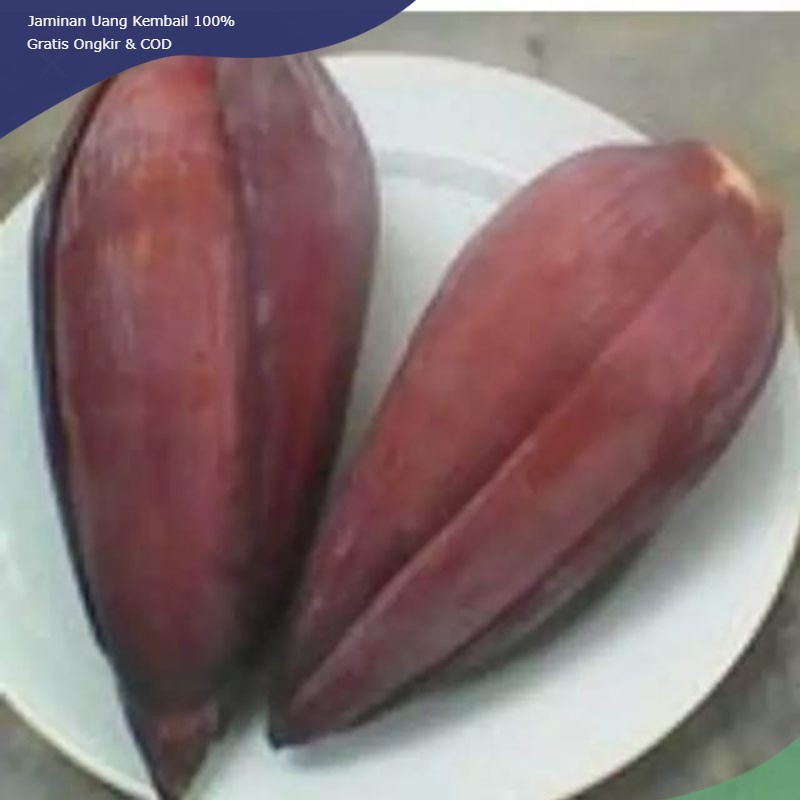 

Jantung pisang