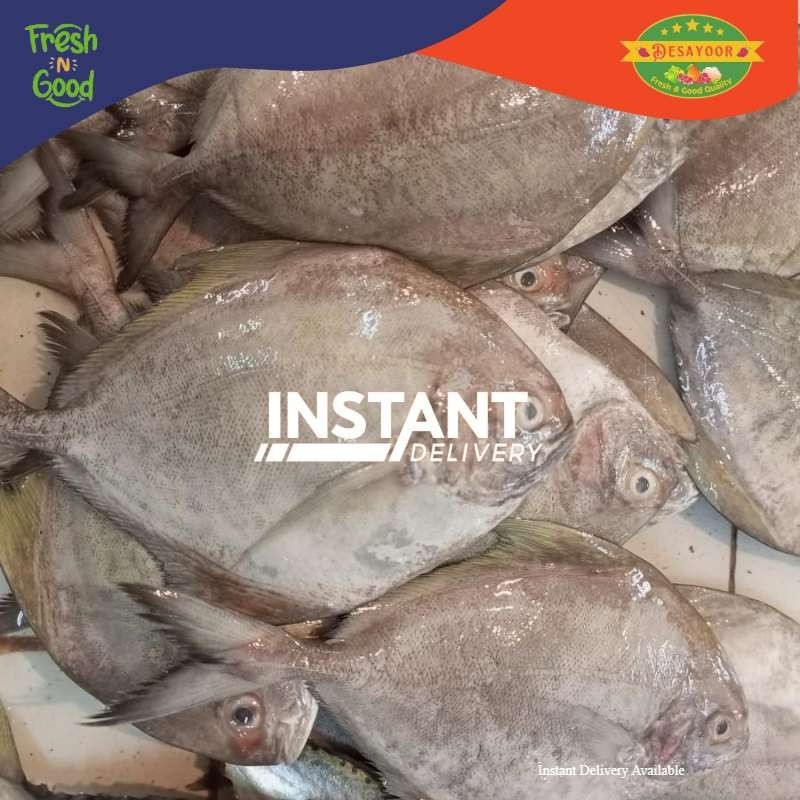 

DE SAYOOR FRESH- IKAN BAWAL LAUT GOOD QUALITY 1KG