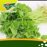 

SAYUR BAYAM SEGAR