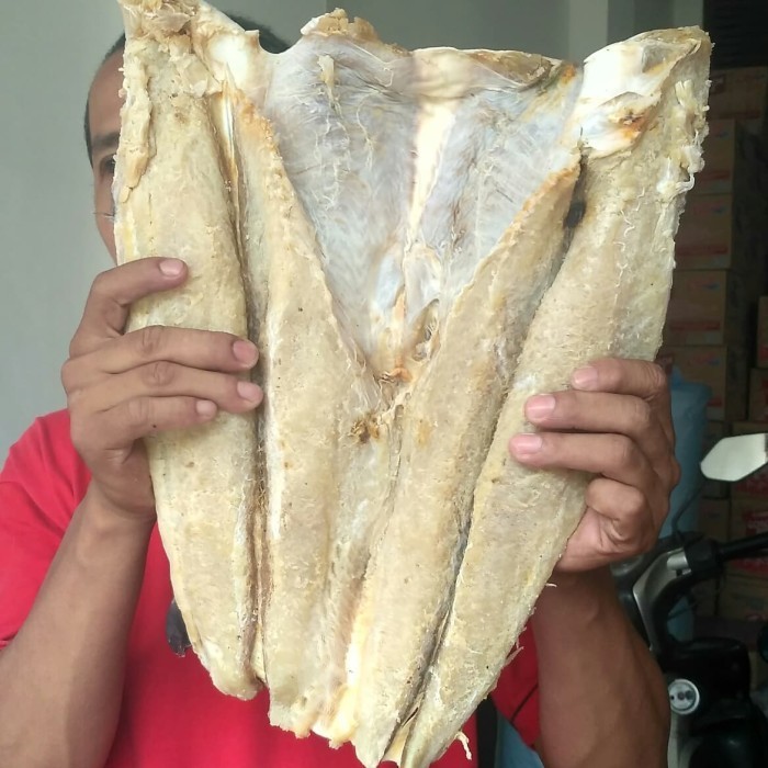 

Ikan asin Jambal Roti - Utuh