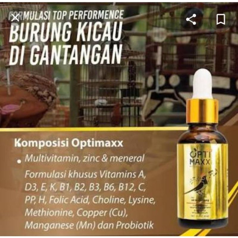 optimaxx vitamin burung kicau murai kacer cak ijo kapas tembak jenggot pentet kenari lovebird optima