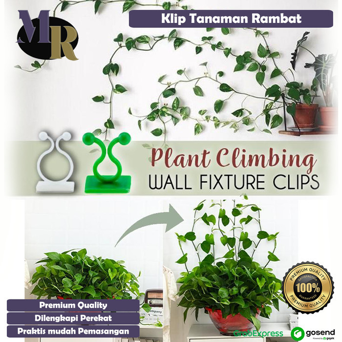 Klip Penjepit Tanaman Rambat Tempel Dinding Clim Plant Climbing Wall Dengan Perekat Clip Perapih Kab