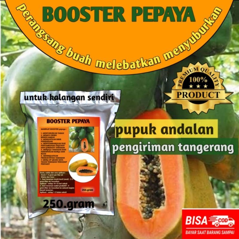 pupuk booster organik pepaya pupuk perangsang buah melebatkan menyuburkan