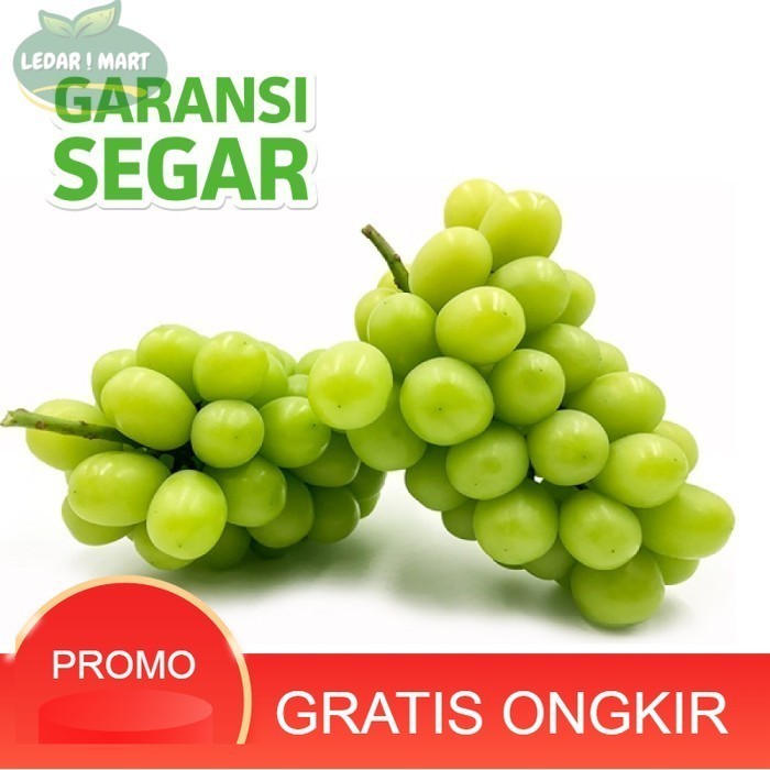 

Anggur Hijau Shine Muscat Seedless Premium