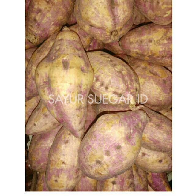 

Ubi merah/red sweet potato /500gram