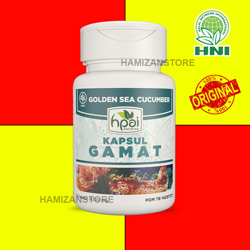 GAMAT Kapsul , Ekstrak dari Teripang Emas - HNI HPAI ORIGINAL  [HMZ]
