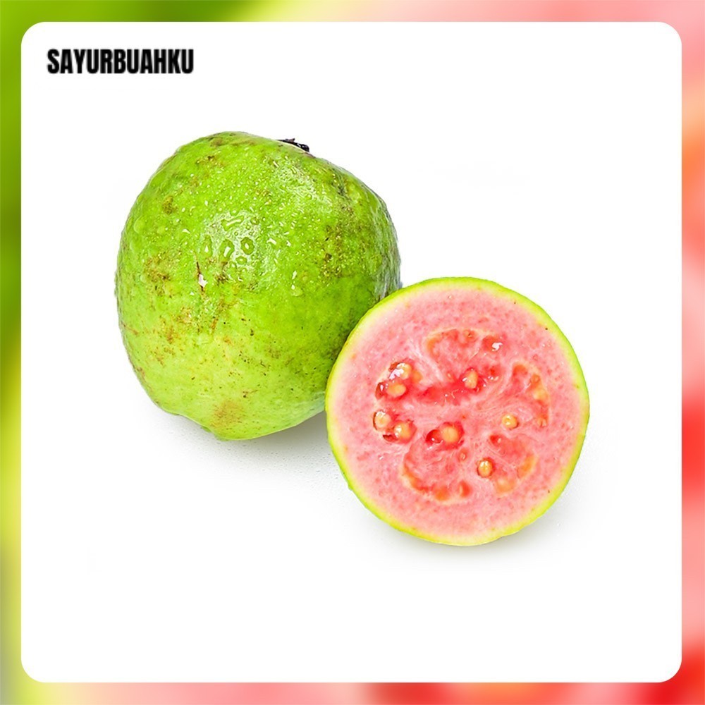 

Jambu Biji Merah 1 kg