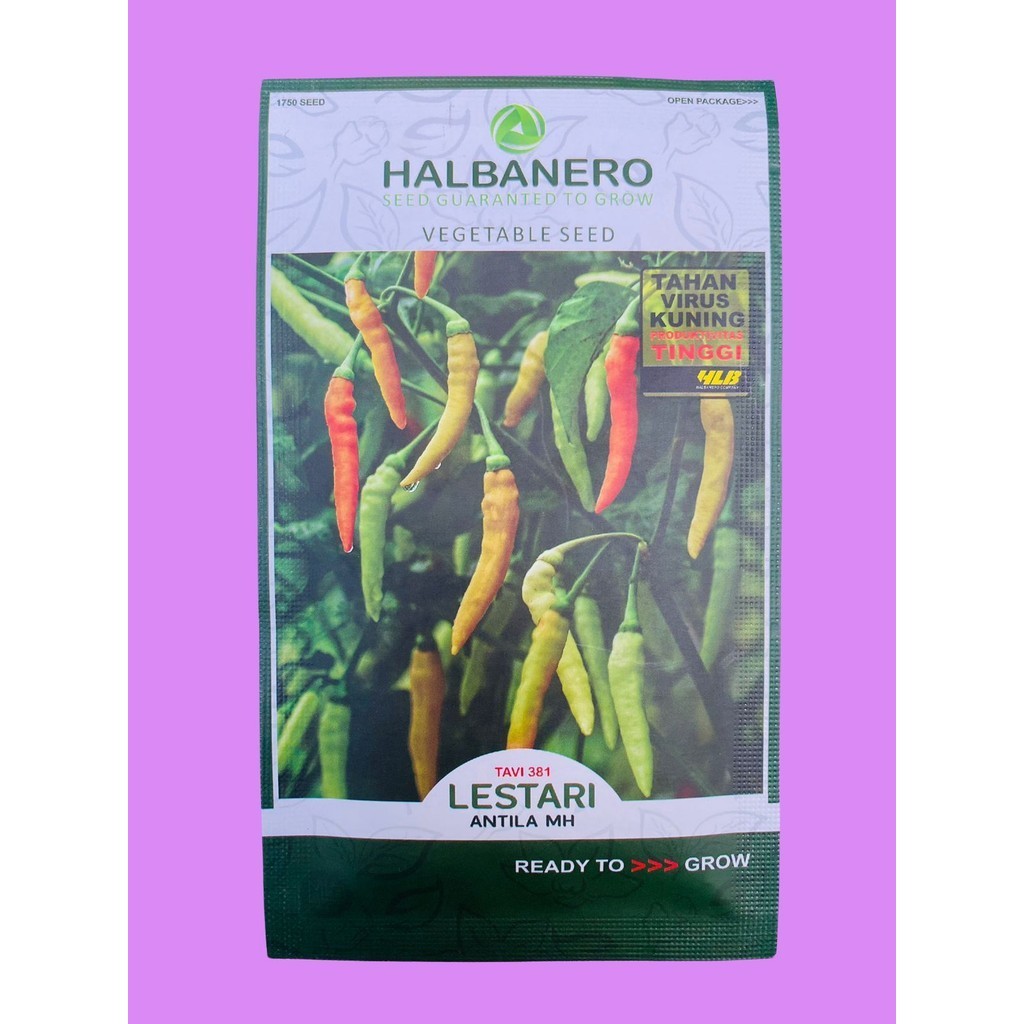 Benih cabai rawit LESTARI isi 10gram dari HALBANERO