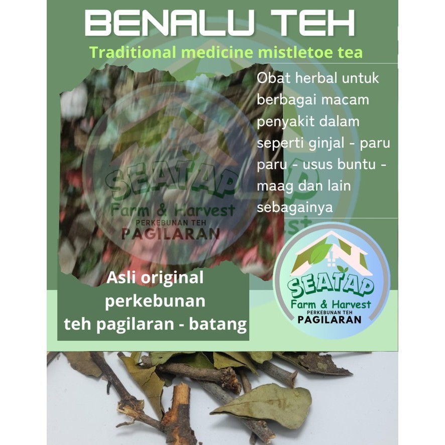 

Abbas TEH BENALU Jamu Herbal Tradisional Obat Untuk Penyakit Kanker