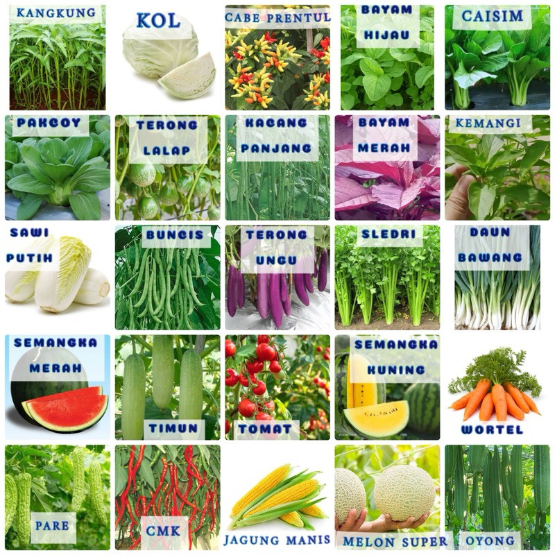 PAKET SAYURAN TERLENGKAP 31 JENIS BENIH UNGGUL SUPER HEMAT- -toko pertanian1