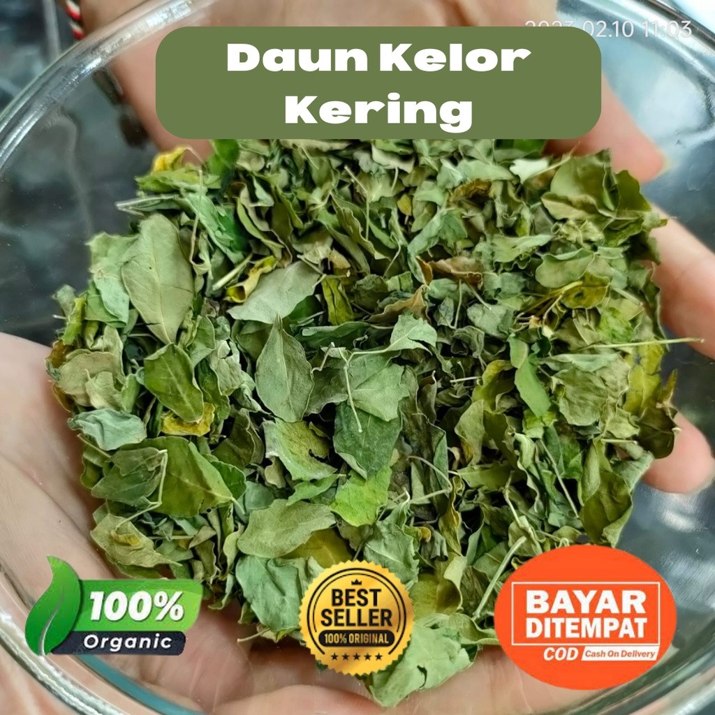 

PROMO COD Daun Kelor Kering Super Kualitas Ekspor TERLARIS