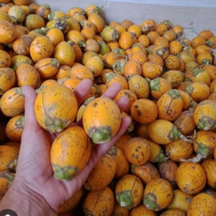 

Ready stok pinang tua buah pinang jambe