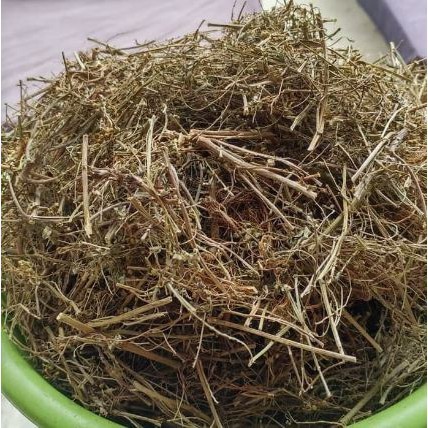 

REMPAH Daun Meniran Kering 100 Gram Obat Herbal Asli